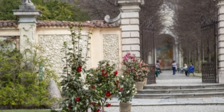 Giornate delle Camelie a Villa Della Porta Bozzolo, Casalzuigno (VA)_Foto Barbara Verduci_2023_(C) FAI (1)