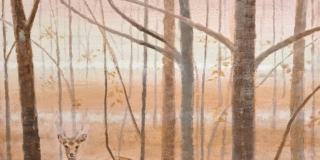 Kazuto Takegami _Messaggero nel bosco_60x50_2026