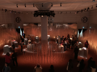 Palazzo Citterio prende forma When Apricots Blossom 2