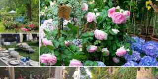 Pontenure, Castello di Paderna