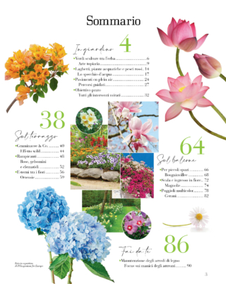 SOMMARIO-Spazi-verdi SOMMARIO-Spazi-verdi