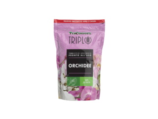 ORCHIDEE ORCHIDEE