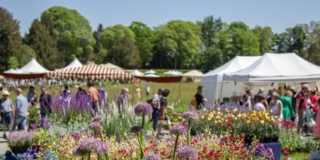 Tre Giorni per il Giardino primavera, Parco del Castello di Masino, Caravino TO_Foto Barbara Verduci_01-05-2025_(C) FAI (11)