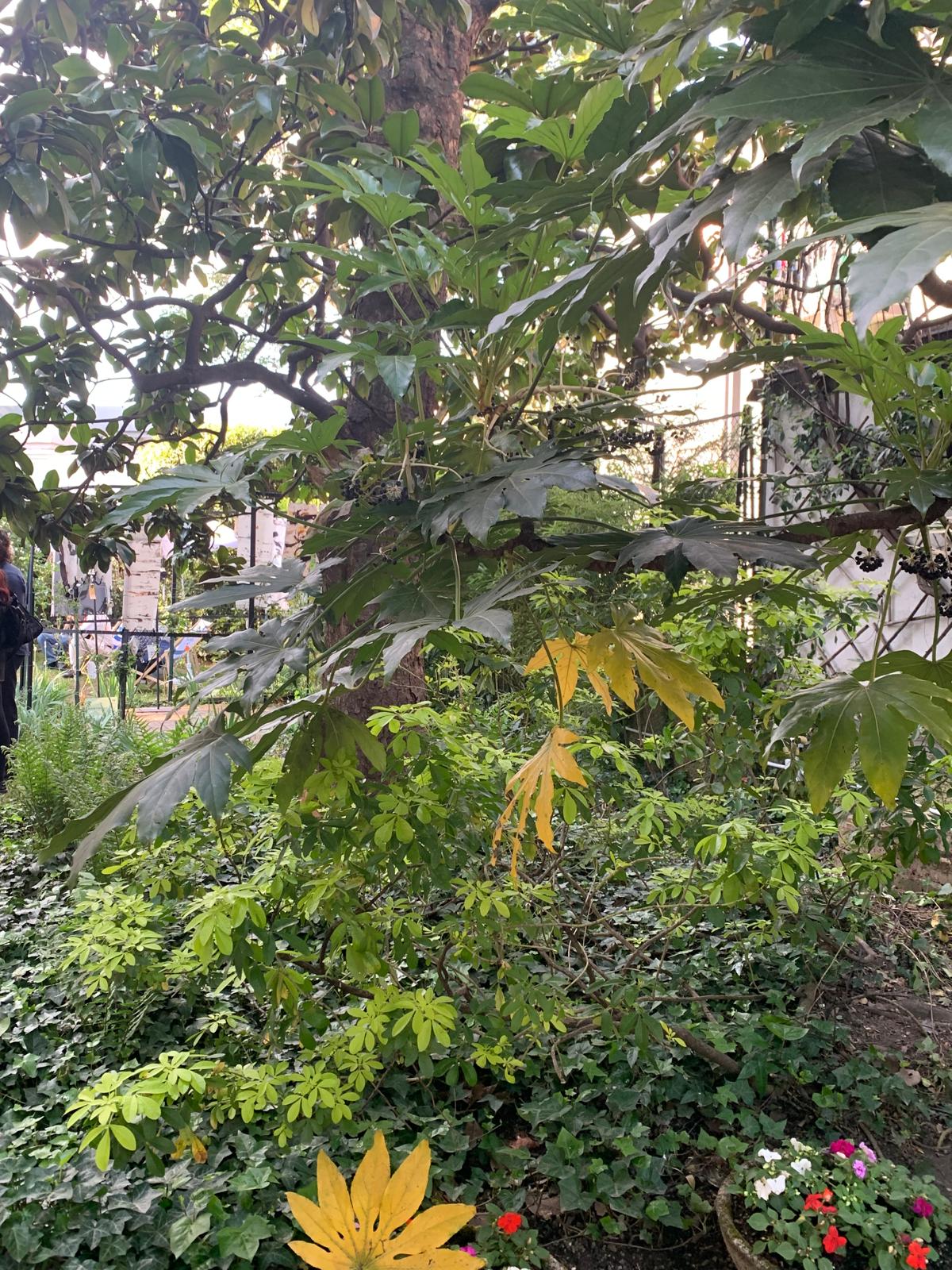 Ville Pestarini Fuorisalone 2026 esterni 2