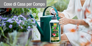 COMPO Suprême: la soluzione universale per curare con amore ogni tipo di pianta