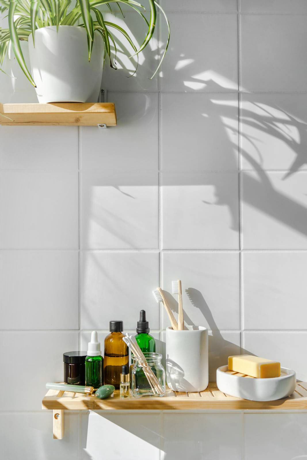 Zero waste and reusable bathroom cosmetics and toiletries