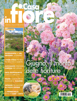 CIF06_cover CIF06_cover