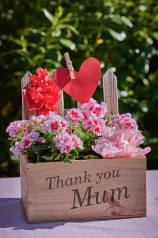 I fiori sono un grande classico tra i doni per la Festa della Mamma: perchè non regalare dei gerani, magari confezionati con un tocco di creatività per portare colore e allegria sul balcone? Gli esperti di Pelargonium for Europe, l’associazione europea impegnata nella valorizzazione del Geranio, propongono un'idea facile da realizzare per rendere questo dono ancora più speciale. Si tratta di una semplice cassetta in legno che, riempita con gerani rosa e fucsia, si trasforma in un balcone fiorito in miniatura. Il regalo sarà reso ancora più speciale da un bigliettino o da un'etichetta personalizzata con un messaggio affettuoso. Immagine: Pelargonium for Europe.