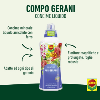 COMPO Concime per gerani
Concime minerale specifico ad alto titolo ed arricchito con ferro. Le fioriture abbondanti e prolungate nel tempo che caratterizzano i gerani richiedono un sostegno nutritivo adeguato in grado di compensare gli elevati consumi di sostanze minerali ed assicurare un'intensa colorazione di foglie e fiori.https://www.compo-hobby.it/prodotti/concimi-cura-delle-piante/concimi-per-piante-da-balcone-appartamento/compo-concime-per-gerani0 COMPO Concime per gerani
Concime minerale specifico ad alto titolo ed arricchito con ferro. Le fioriture abbondanti e prolungate nel tempo che caratterizzano i gerani richiedono un sostegno nutritivo adeguato in grado di compensare gli elevati consumi di sostanze minerali ed assicurare un'intensa colorazione di foglie e fiori.https://www.compo-hobby.it/prodotti/concimi-cura-delle-piante/concimi-per-piante-da-balcone-appartamento/compo-concime-per-gerani0