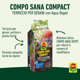 COMPO SANA COMPACT Terriccio Gerani per Piante da Balcone e FioriereTerriccio composto da torbe della qualità più pregiata provenienti dal Nord Europa, ideale per gerani e piante da fiore come begonie, petunie, ciclamini, margherite, primule, surfinie, ecc. in balcone o in fioriere.https://www.compo-hobby.it/prodotti/terricci-substrati-pacciamanti/terricci-per-piante-da-balcone-appartamento/compo-sana-compact-terriccio-gerani-per-piante-da-balcone-e-fioriere COMPO SANA COMPACT Terriccio Gerani per Piante da Balcone e FioriereTerriccio composto da torbe della qualità più pregiata provenienti dal Nord Europa, ideale per gerani e piante da fiore come begonie, petunie, ciclamini, margherite, primule, surfinie, ecc. in balcone o in fioriere.https://www.compo-hobby.it/prodotti/terricci-substrati-pacciamanti/terricci-per-piante-da-balcone-appartamento/compo-sana-compact-terriccio-gerani-per-piante-da-balcone-e-fioriere