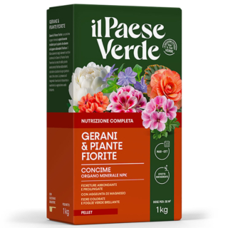 Gerani & Piante Fiorite è un concime minerale appositamente studiato per le piante che devono sviluppare abbondanti fioriture.https://ilpaeseverde.it/prodotto/gerani-piante-fiorite/ Gerani & Piante Fiorite è un concime minerale appositamente studiato per le piante che devono sviluppare abbondanti fioriture.https://ilpaeseverde.it/prodotto/gerani-piante-fiorite/