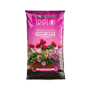 TRIPLO PIANTE FIORITE, è il terriccio ideale per coltivare tutte le varietà di gerani, surfinie, dipladenie, petunie e in generale tutte le piante annuali fiorite. E’ una miscela professionale, composta esclusivamente da torbe, bionde e brune, di qualità pregiata che conferiscono elevata porosità e una forte ritenzione idrica, e concimi a pronto effetto e lenta cessione che garantiscono un ottimo sviluppo radicale, un aumento della colorazione e il prolungamento delle fioriture. Particolarmente indicato per il rinvaso o da miscelare al terreno durante le fasi di trapianto.
https://tercomposti.com/prodotto/piante-fiorite/ TRIPLO PIANTE FIORITE, è il terriccio ideale per coltivare tutte le varietà di gerani, surfinie, dipladenie, petunie e in generale tutte le piante annuali fiorite. E’ una miscela professionale, composta esclusivamente da torbe, bionde e brune, di qualità pregiata che conferiscono elevata porosità e una forte ritenzione idrica, e concimi a pronto effetto e lenta cessione che garantiscono un ottimo sviluppo radicale, un aumento della colorazione e il prolungamento delle fioriture. Particolarmente indicato per il rinvaso o da miscelare al terreno durante le fasi di trapianto.
https://tercomposti.com/prodotto/piante-fiorite/