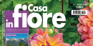 Casa in Fiore di luglio 2026, in edicola dal 24 giugno