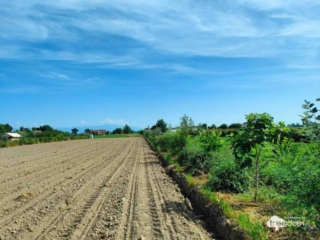 Cadel Treedom e Al Confin per progetto Quinto Filare Cadel Treedom e Al Confin per progetto Quinto Filare
