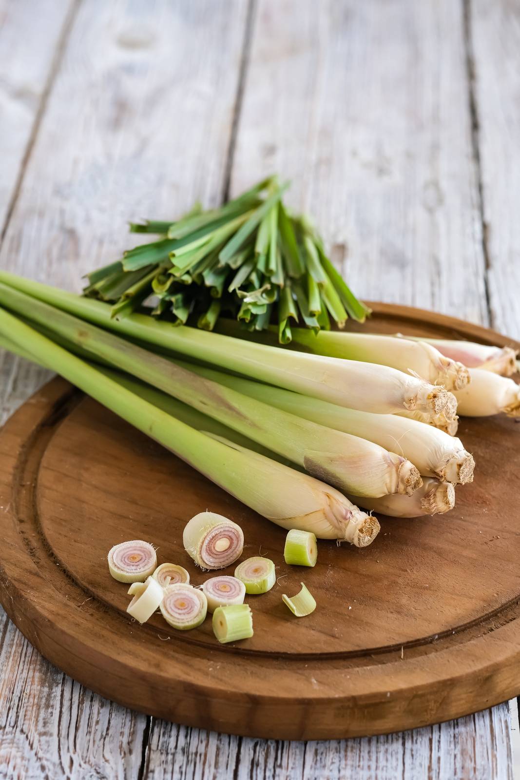 I fusti della pianta di citronella assomigliano molto ai classici cipollotti utilizzati in cucina.