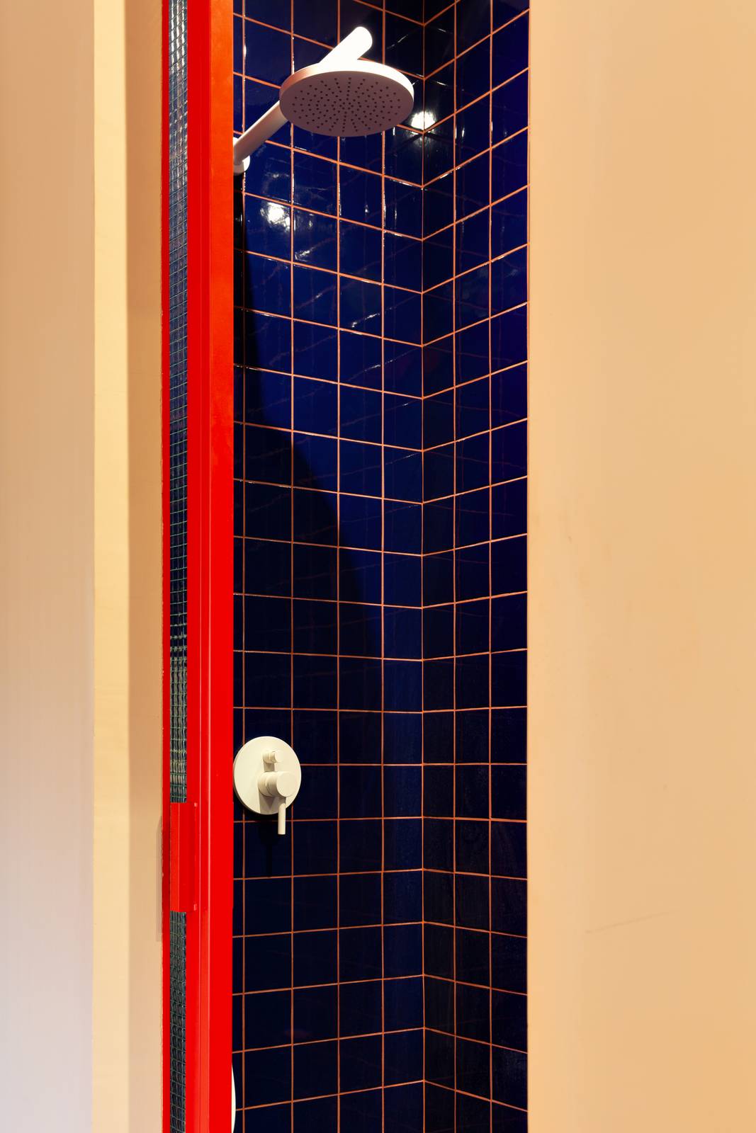 22 Doccia camera
Materiale: Porta in ferro realizzata su misura dalla ditta Maroni s.n.c. Rubinetteria firmata Zucchetti design. Rivestimenti Cesi blu cobalto serie I COLORI. Fuga fugabella.