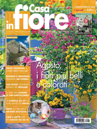CIF08_cover CIF08_cover