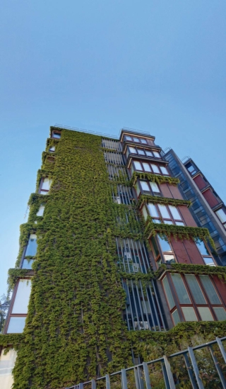 L'architettura si veste di verde