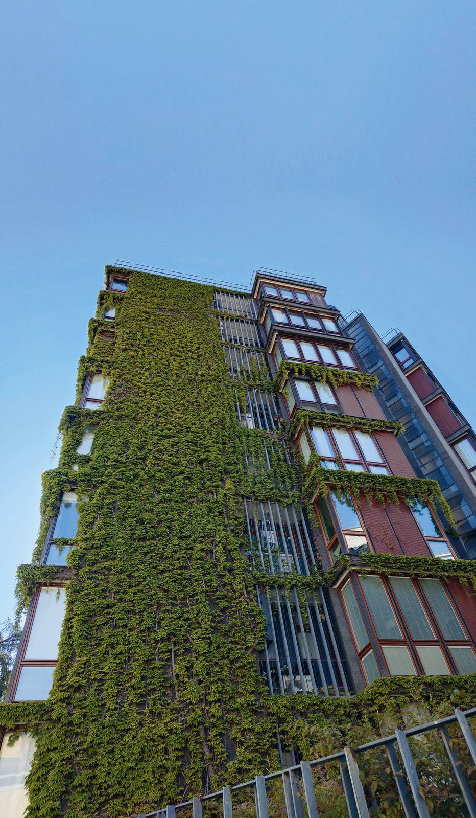 L'architettura si veste di verde