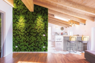 Il moss abbatte il riverbero acustico,
è ipoallergenico e non attira polvere,
oltre ad essere un bioindicatore
dell'umidità dell'aria.
La parete Sottobosco di Verde Passione, realizzata su misura, è frutto di un mix di muschi e licheni naturali stabilizzati di qualità Premium (“Cladonia stellaris”, Ball moss e Flat moss) dall'aspetto naturale e equilibrato, montati su appositi pannelli. Costa 450 euro al mq. www.verdepassione.it
