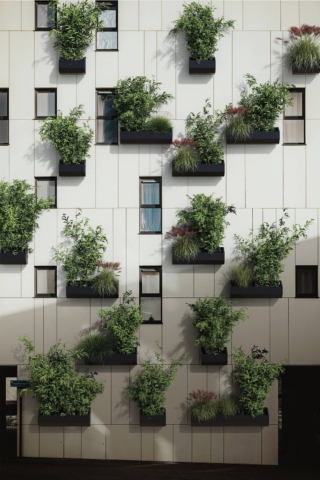 VP Modulo Tree Pot di VerdeProfilo®, evoluzione del sistema brevettato VP Modulo, unisce modularità e capacità di ospitare piante di maggiori dimensioni, per giardini verticali dinamici. Si compone di un vaso di lamiera verniciata con pannello interno di polistirene ignifugo. www.verdeprofilo.com