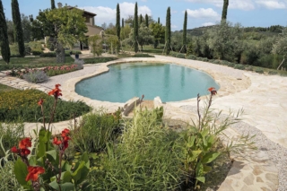 Biolago-realizzato-da-Vera-Luciani-