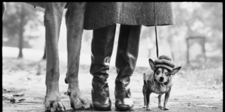 Bologna, Elliott Erwitt Bologna, Elliott Erwitt