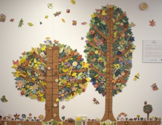 Il Bosco che Cresce Il Bosco che Cresce