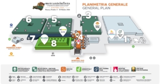 Mercanteinfiera piantina