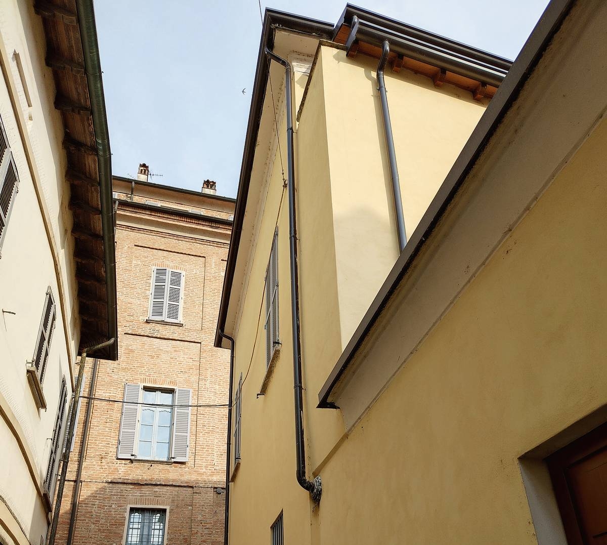 Pluviale Pluviale