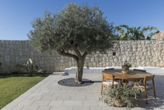 Nel cortile interno un ulivo, simbolo della vegezione mediterranea, è protagonista dello spazio. foto Sergio Pirrone
