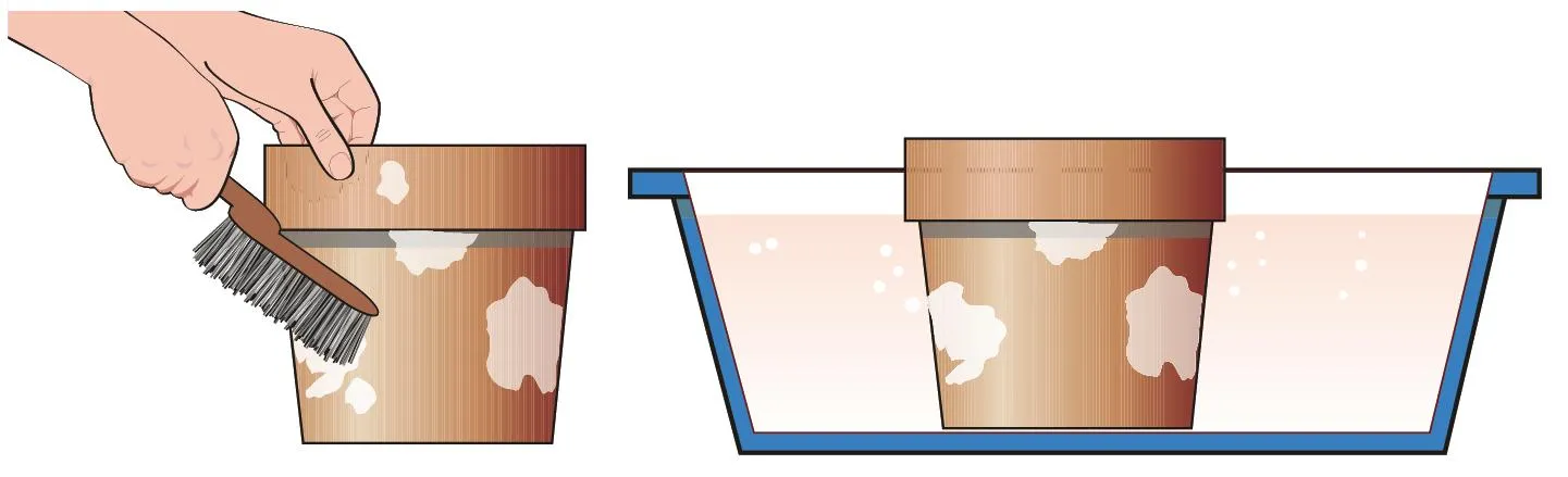 Come pulire i vasi di terracotta dal calcare? Tutte le FAQ I