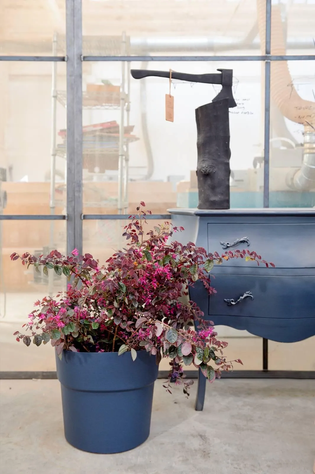 Arredare con le piante: vasi e portavasi di bell'aspetto - Cose di Casa
