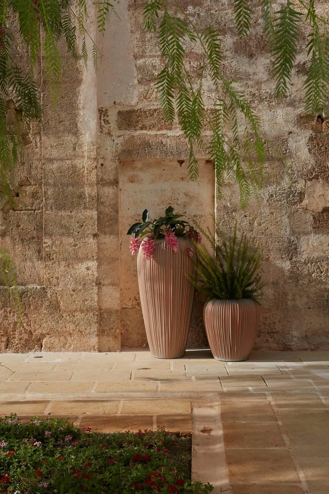 Arredare con le piante: vasi e portavasi di bell'aspetto - Cose di Casa